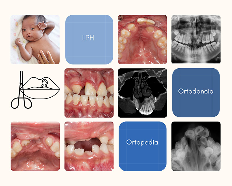 Yamada Viggiano Ortodoncia